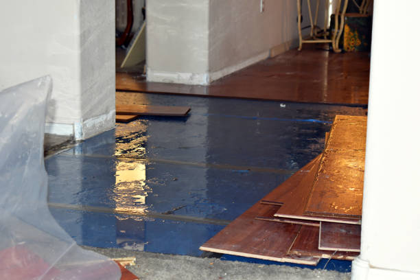 Professional Basement Flood Cleanup technician working in Freeport, PA